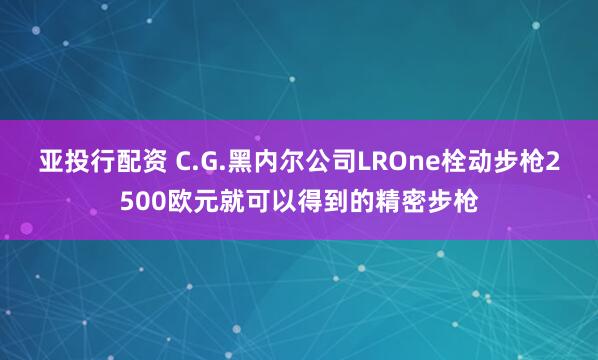 亚投行配资 C.G.黑内尔公司LROne栓动步枪2500欧元就可以得到的精密步枪
